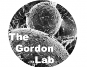 Bone Infection lab